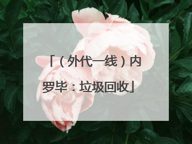 （外代一线）内罗毕：垃圾回收
