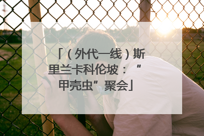 （外代一线）斯里兰卡科伦坡：“甲壳虫”聚会