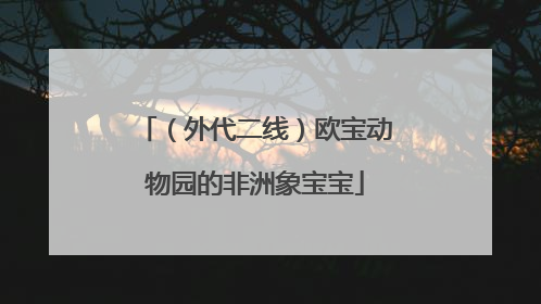 （外代二线）欧宝动物园的非洲象宝宝