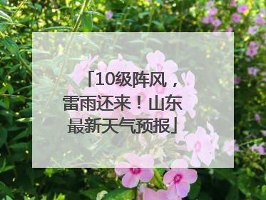 10级阵风，雷雨还来！山东最新天气预报