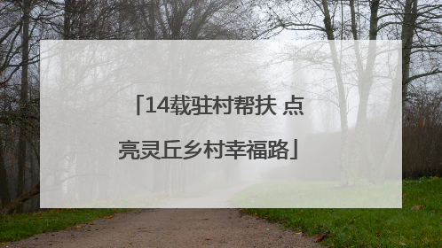 14载驻村帮扶 点亮灵丘乡村幸福路