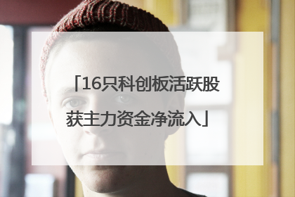 16只科创板活跃股获主力资金净流入
