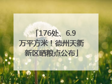 176处、6.9万平方米！德州天衢新区晒粮点公布