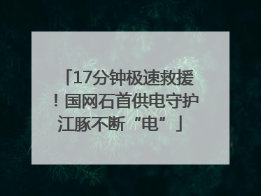 17分钟极速救援！国网石首供电守护江豚不断“电”