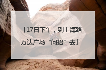 17日下午，到上海路万达广场“问招”去