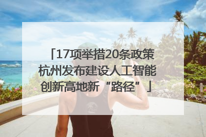 17项举措20条政策 杭州发布建设人工智能创新高地新“路径”