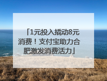 1元投入撬动8元消费！支付宝助力合肥激发消费活力