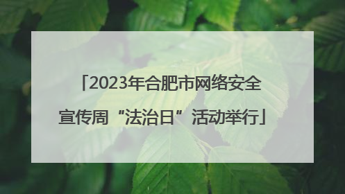 2023年合肥市网络安全宣传周“法治日”活动举行