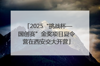 2025“挑战杯—国创赛”金奖项目夏令营在西安交大开营