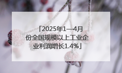 2025年1—4月份全国规模以上工业企业利润增长1.4%