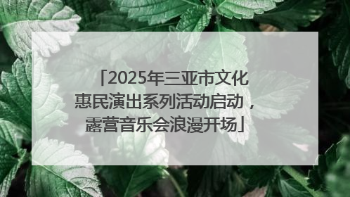 2025年三亚市文化惠民演出系列活动启动，露营音乐会浪漫开场