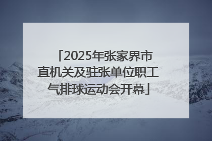 2025年张家界市直机关及驻张单位职工气排球运动会开幕