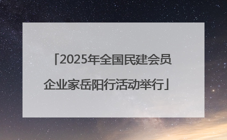 2025年全国民建会员企业家岳阳行活动举行