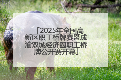 2025年全国高新区职工桥牌赛暨成渝双城经济圈职工桥牌公开赛开幕