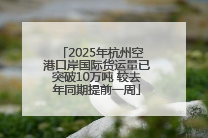2025年杭州空港口岸国际货运量已突破10万吨 较去年同期提前一周