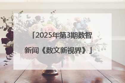 2025年第3期数智新闻《数文新视界》