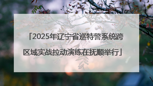 2025年辽宁省巡特警系统跨区域实战拉动演练在抚顺举行