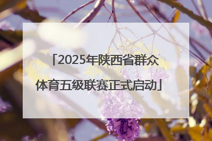 2025年陕西省群众体育五级联赛正式启动