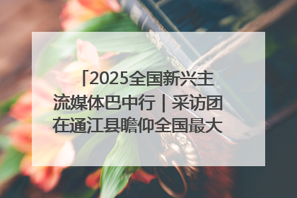 2025全国新兴主流媒体巴中行｜采访团在通江县瞻仰全国最大红军烈士陵园