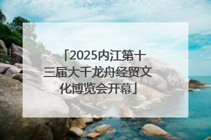 2025内江第十三届大千龙舟经贸文化博览会开幕