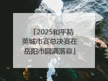 2025和平精英城市赛总决赛在岳阳市圆满落幕