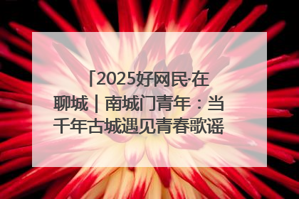 2025好网民·在聊城｜南城门青年：当千年古城遇见青春歌谣 一湖碧水见证的“聊城式浪漫”