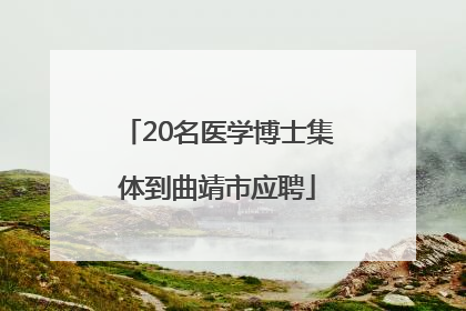 20名医学博士集体到曲靖市应聘