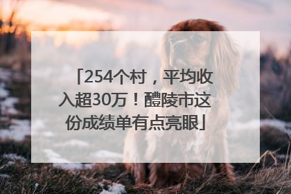 254个村，平均收入超30万！醴陵市这份成绩单有点亮眼