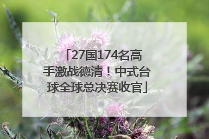 27国174名高手激战德清！中式台球全球总决赛收官