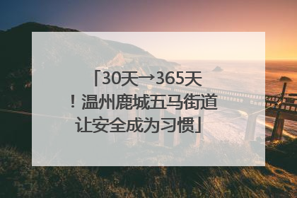 30天→365天！温州鹿城五马街道让安全成为习惯