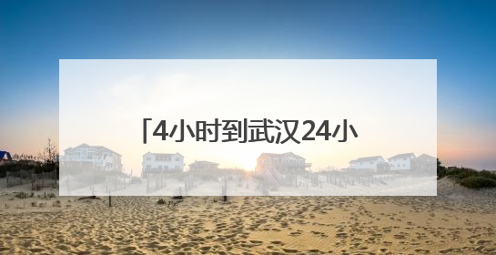 4小时到武汉24小时达新疆，京东助广东荔枝“鲜”到全国