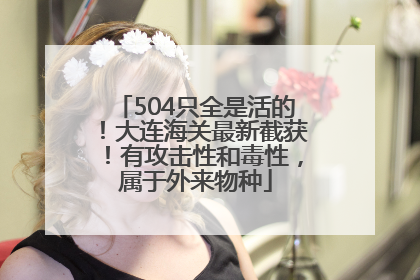 504只全是活的！大连海关最新截获！有攻击性和毒性，属于外来物种