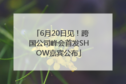 6月20日见！跨国公司峰会首发SHOW嘉宾公布