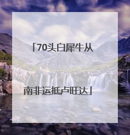 70头白犀牛从南非运抵卢旺达