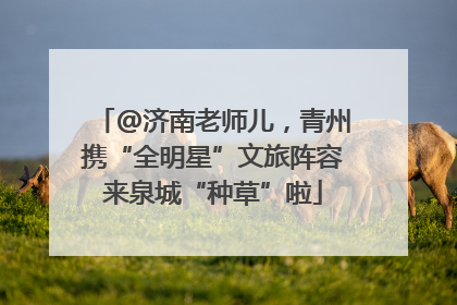 @济南老师儿，青州携“全明星”文旅阵容来泉城“种草”啦