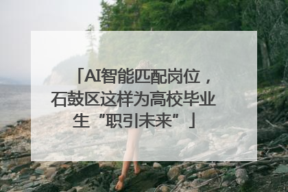 AI智能匹配岗位，石鼓区这样为高校毕业生“职引未来”