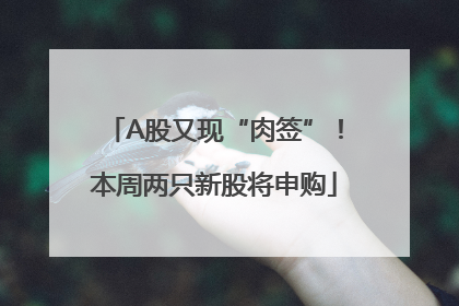 A股又现“肉签”！本周两只新股将申购