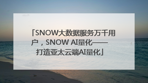 SNOW大数据服务万千用户，SNOW AI量化——打造亚太云端AI量化